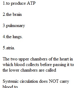 Chapter 3 Quiz